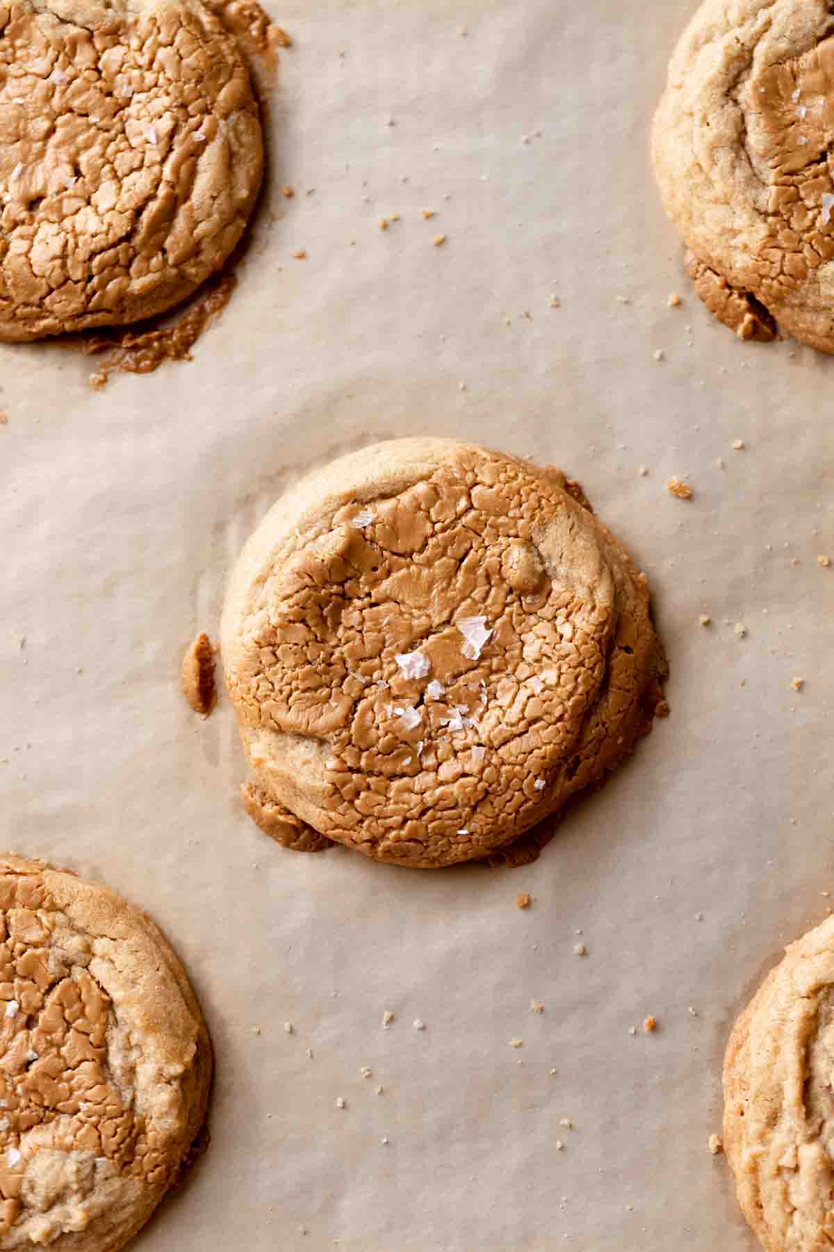 biscoff butter cookies topped with speculoos on parchment paper.
