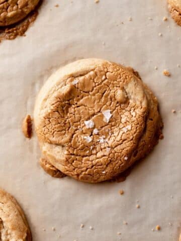 biscoff butter cookies on parchment topped with speculoos butter.