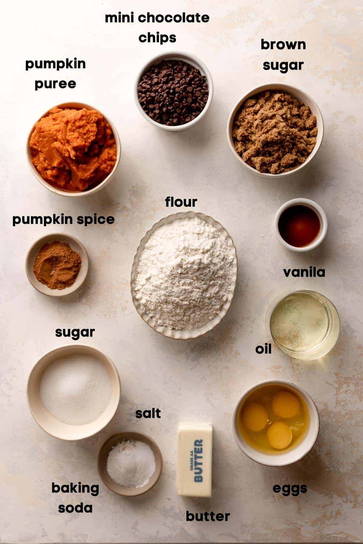 ingredients needed to make chocolate chip pumpkin cake.
