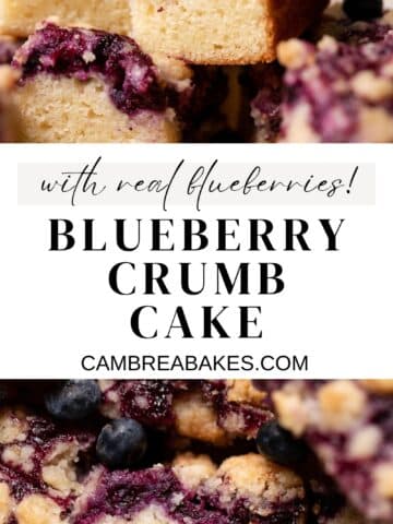 blueberry crumble cake pinterest pin.