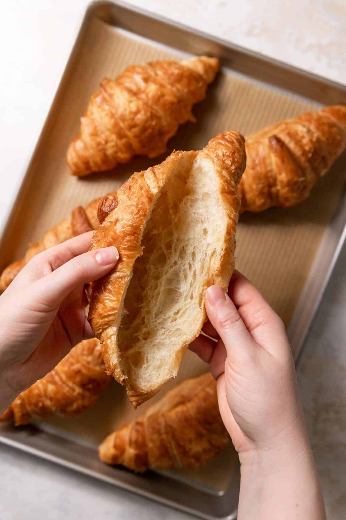 hands holding a croissant that is cut almost open.