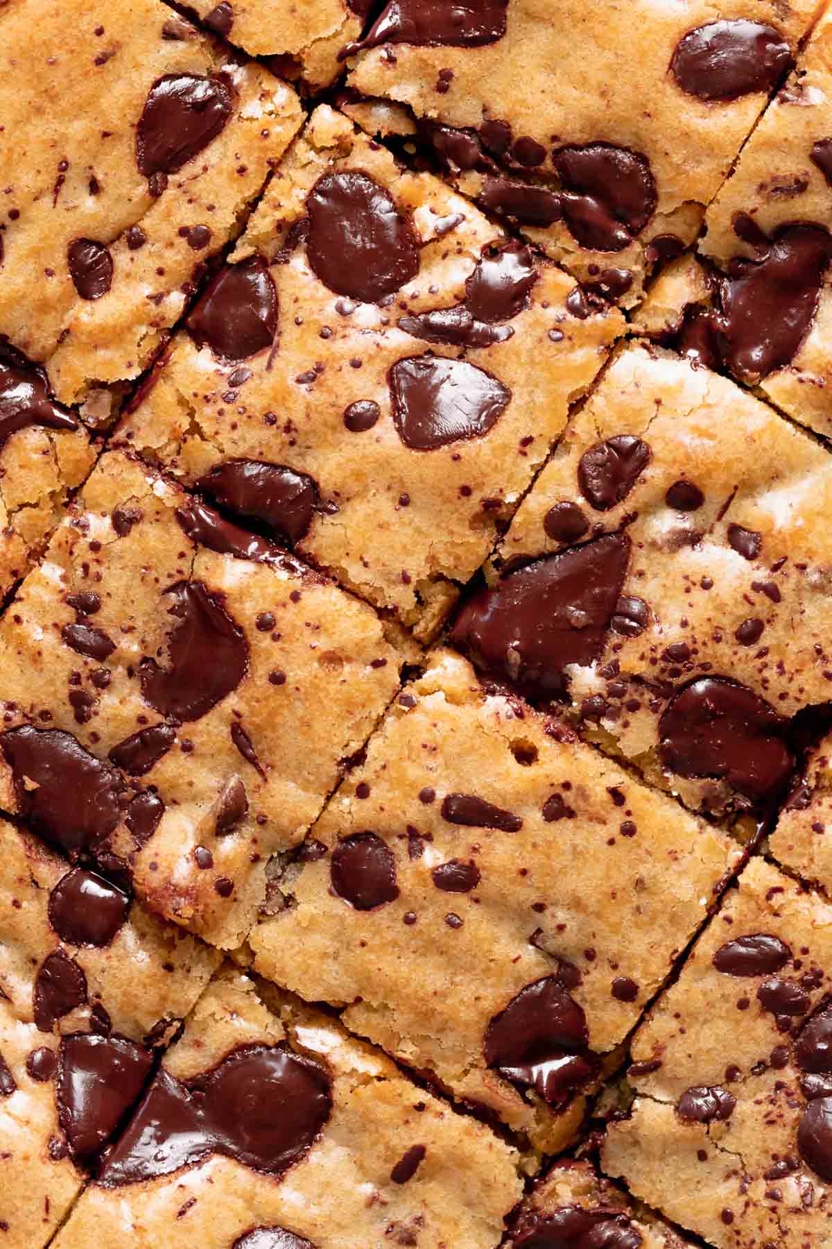 brown butter chocolate chip blondies after baking cut into squares.