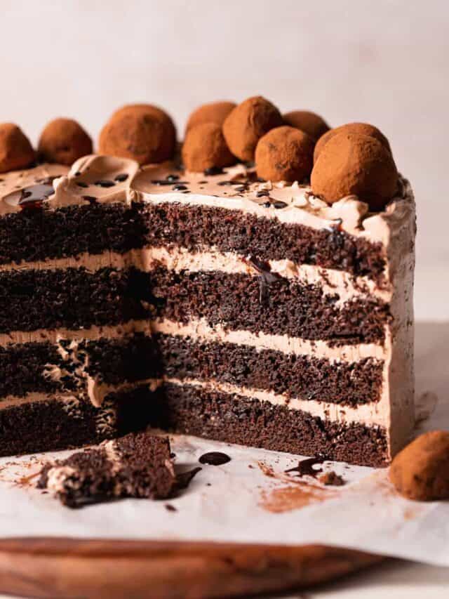MOIST Chocolate Coffee Cake