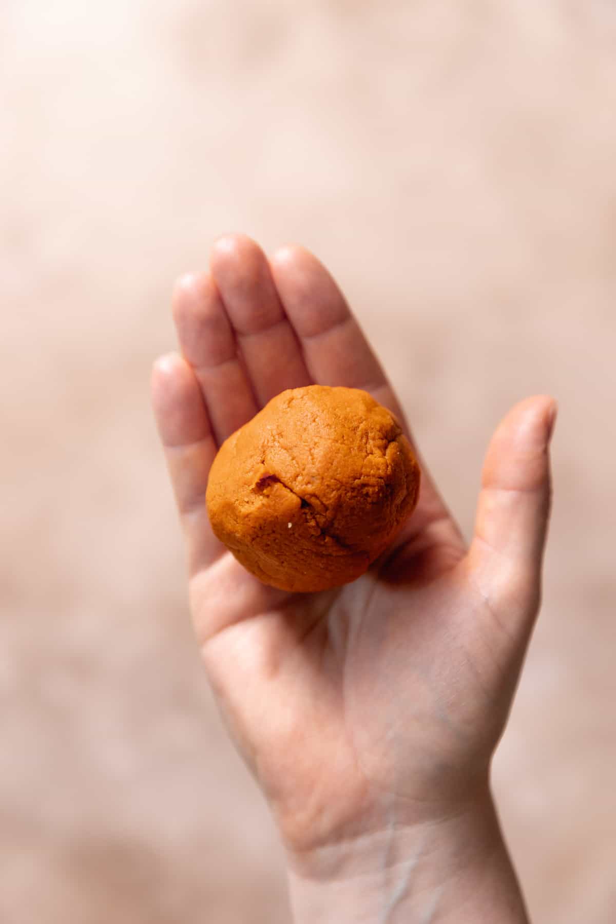 A hand holding the ball of dried pumpkin puree.