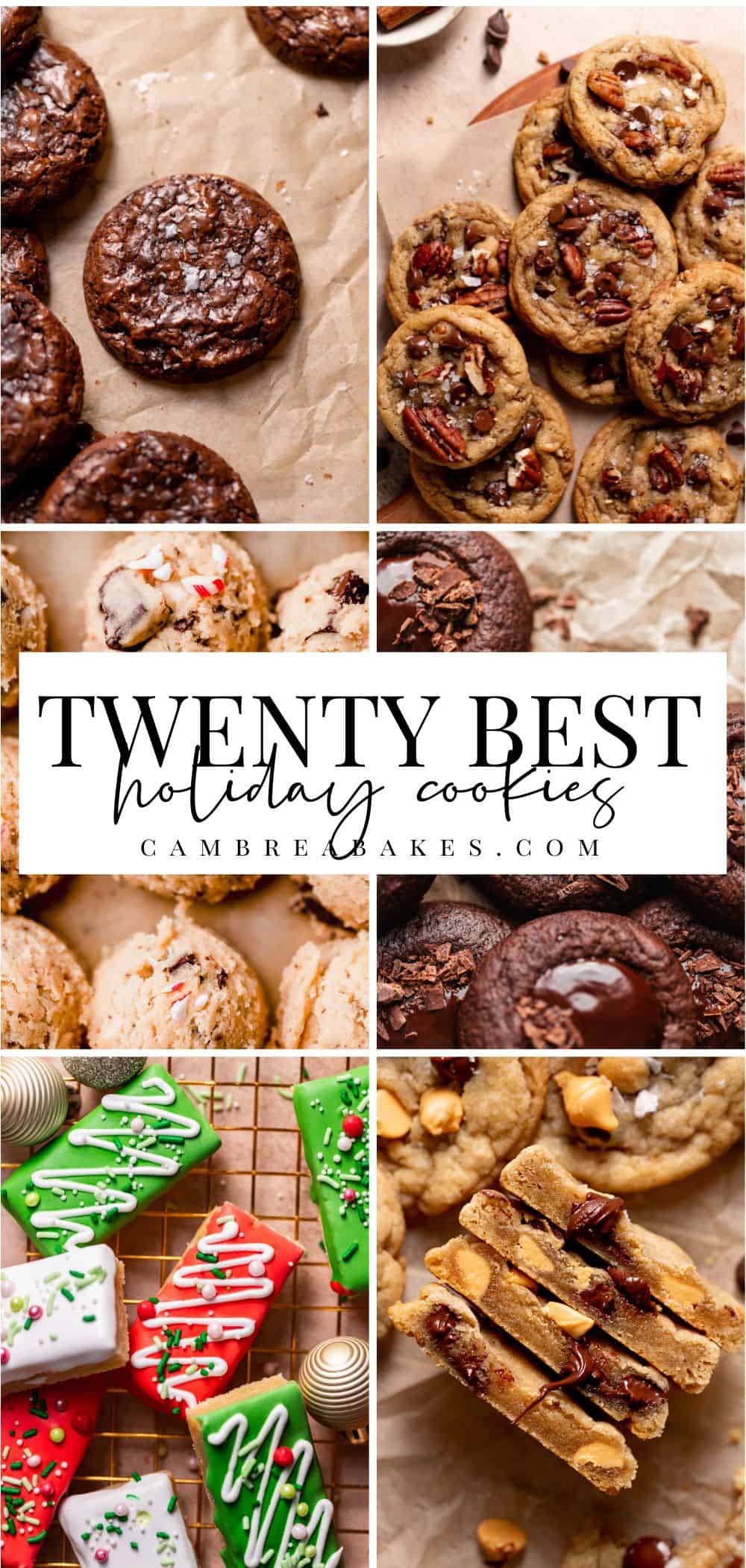 Twenty Best Holiday Cookie Recipes Cambrea Bakes   Best Holiday Cookies Pin 3 