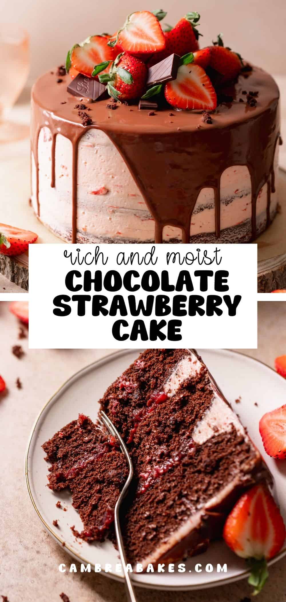 Chocolate Strawberry Cake - Cambrea Bakes