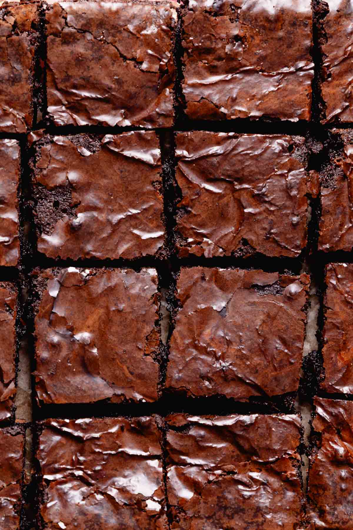 Black cocoa brownies cut into squares.