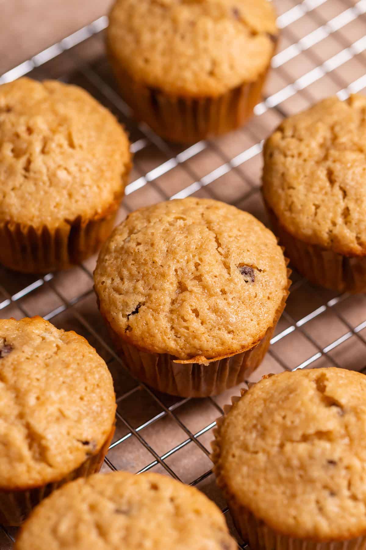 Oatmeal chocolate chip cupcakes cooling on a wire rack.