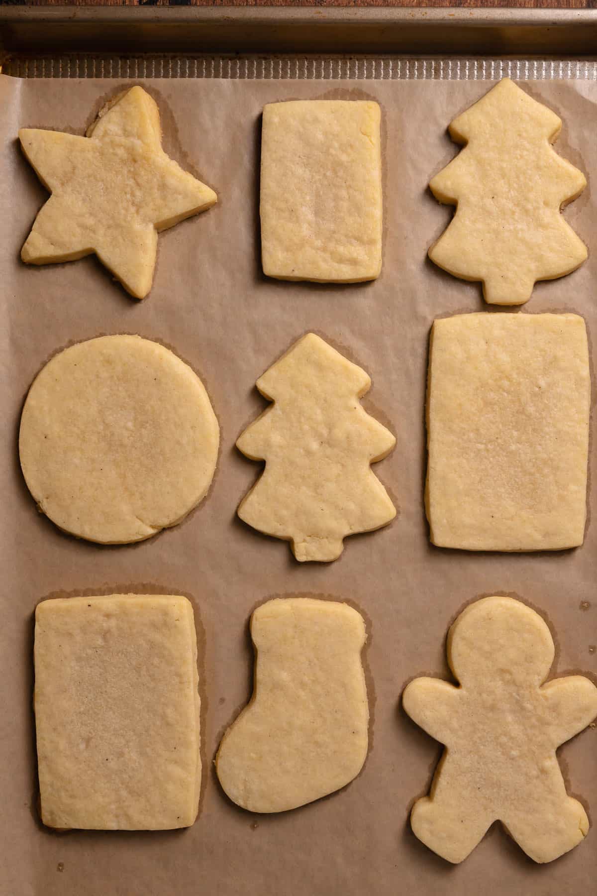 Sugar cookies on a baking tray after baking.