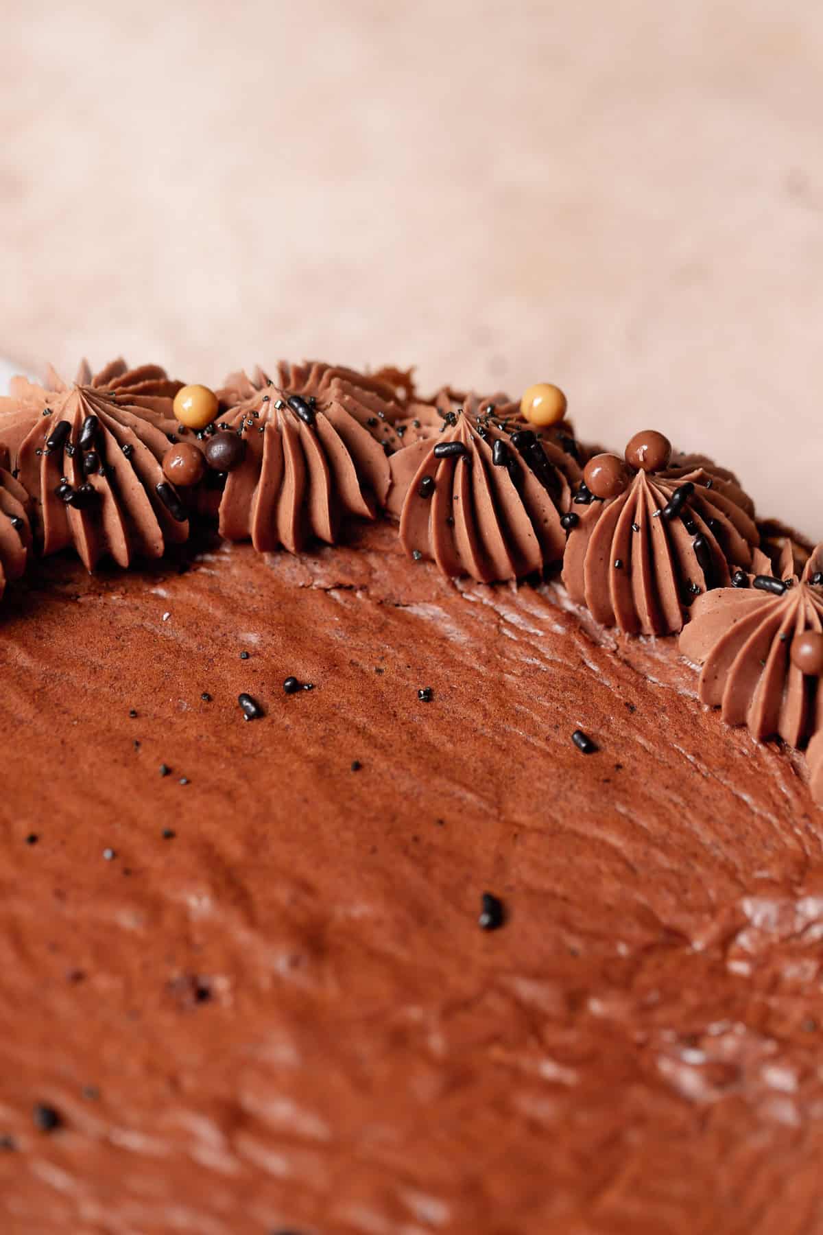 A shot of the side of the brownie cake to show the piped frosting and sprinkles.