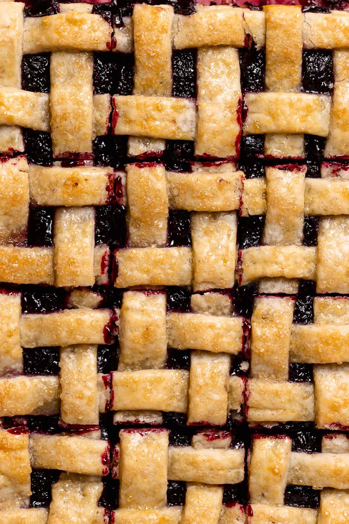 A close up shot of the blueberry bars cut into squares.