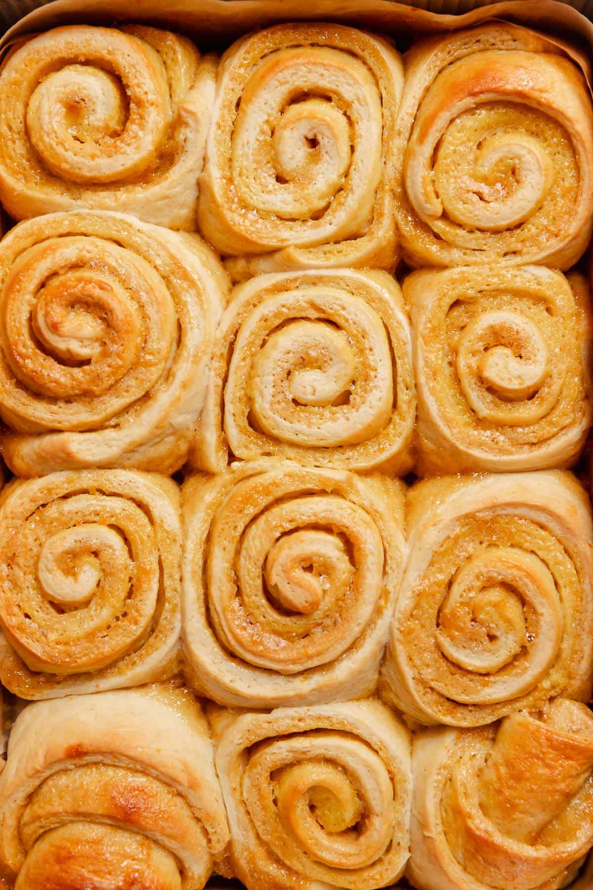 Baked orange rolls in a baking pan with golden brown tops.
