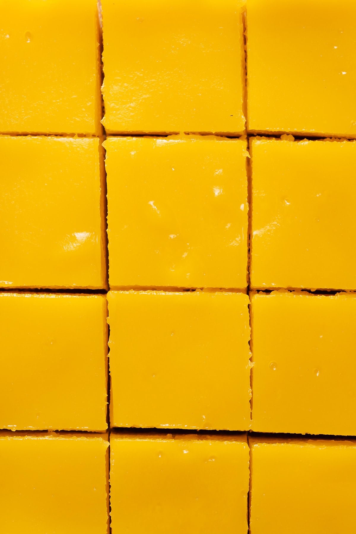 Lemon bars after baking cut into squares before dusting with powdered sugar.
