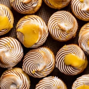 Lemon meringue cupcakes topped with toasted meringue and lemon curd.