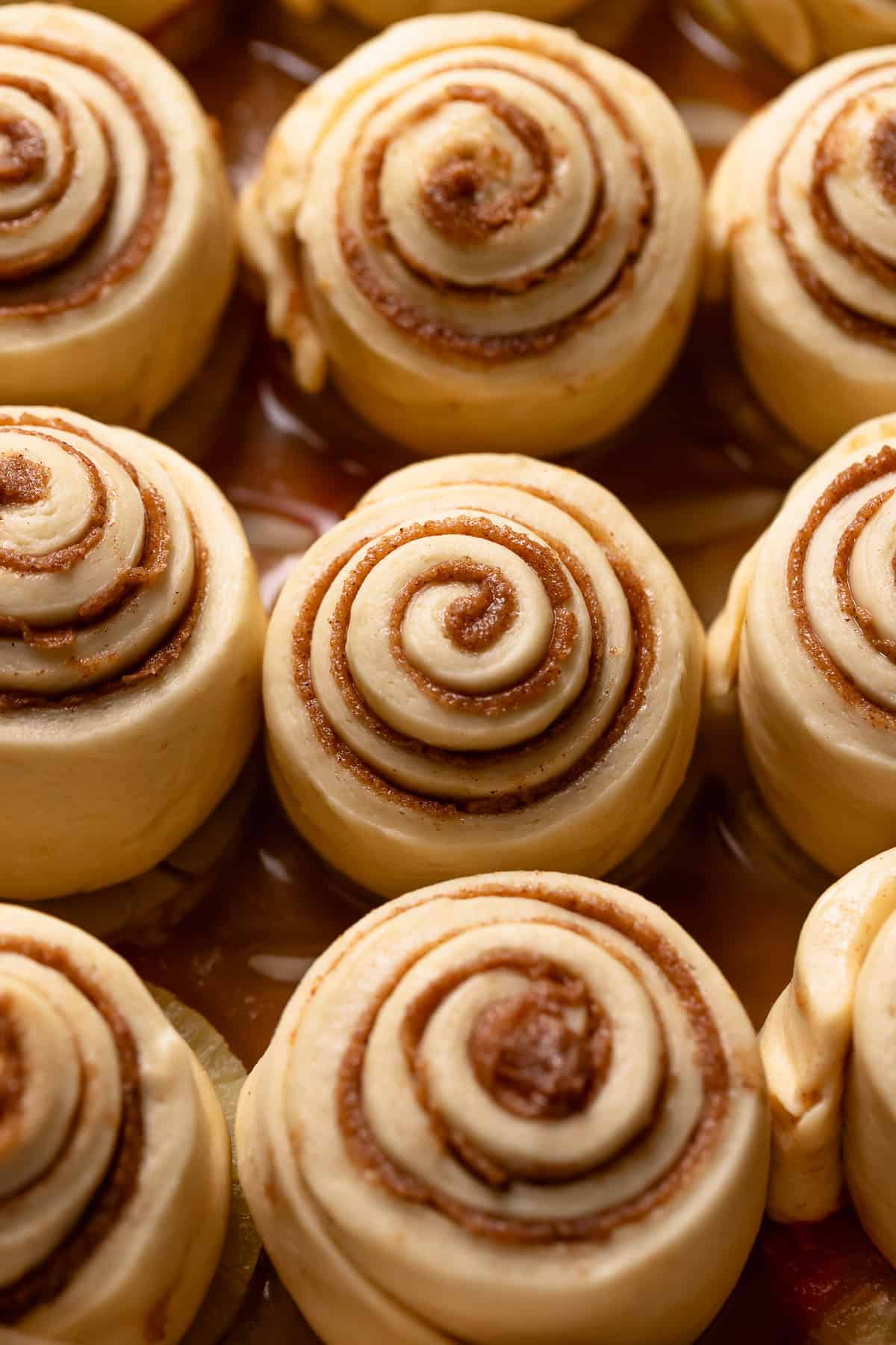An overhead shot of the cinnamon rolls doubled in size and touching each other.