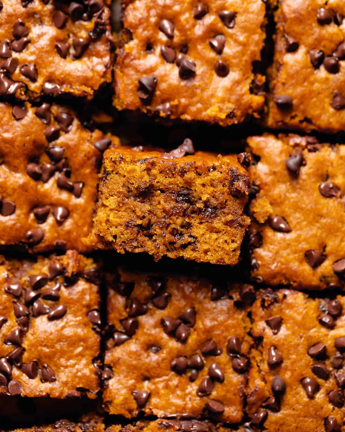 A slice of chocolate chip pumpkin cake covered in chocolate chips on its side to show the texture.