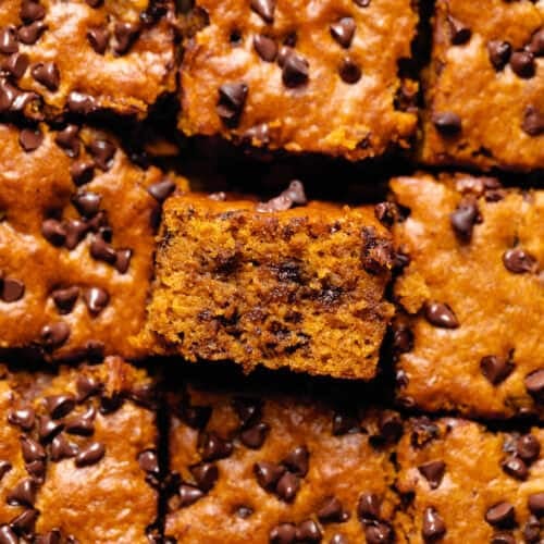 A slice of chocolate chip pumpkin cake on its side to show the soft and moist texture.