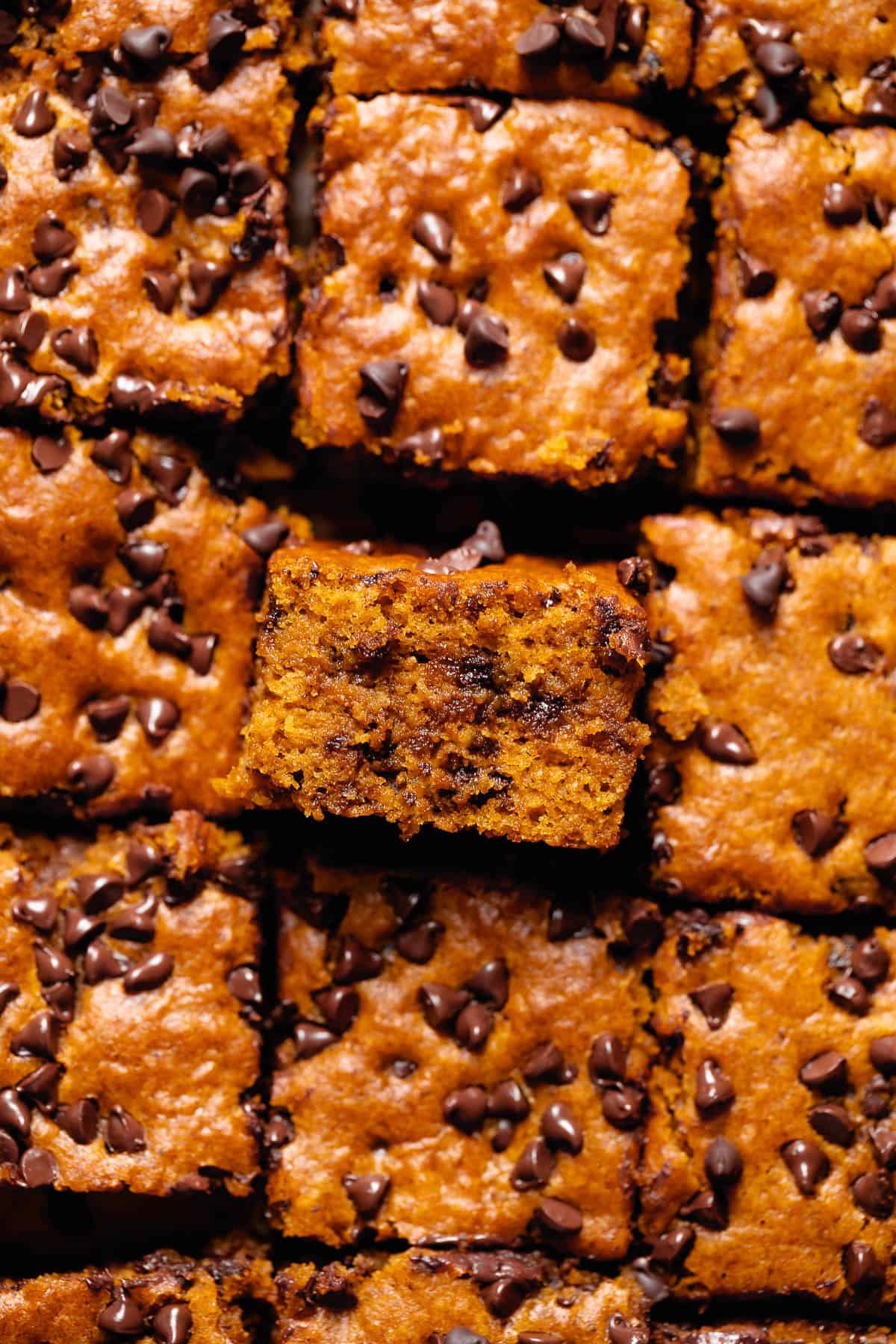 A slice of chocolate chip pumpkin cake on its side to show the soft and moist texture.