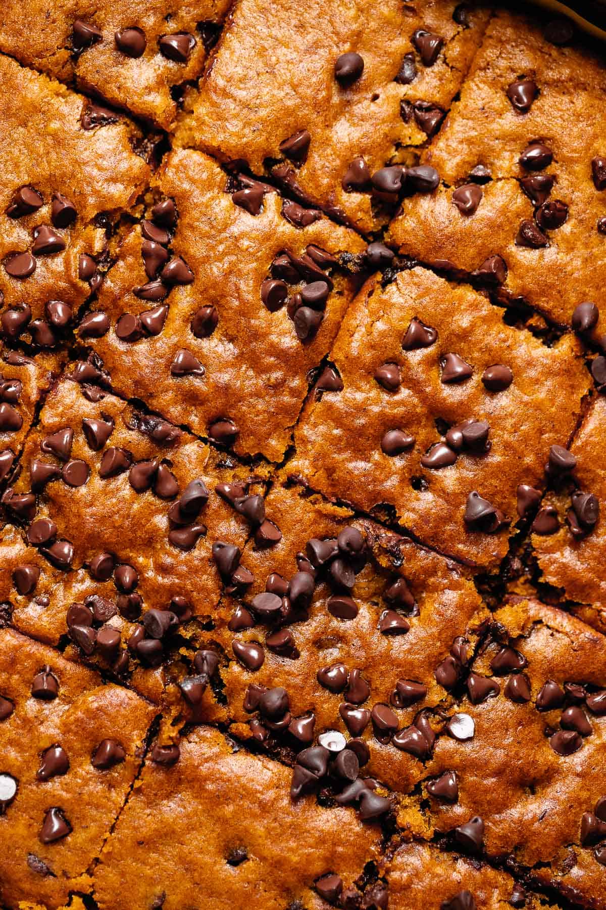 Overhead shot of the top of the chocolate pumpkin cake.