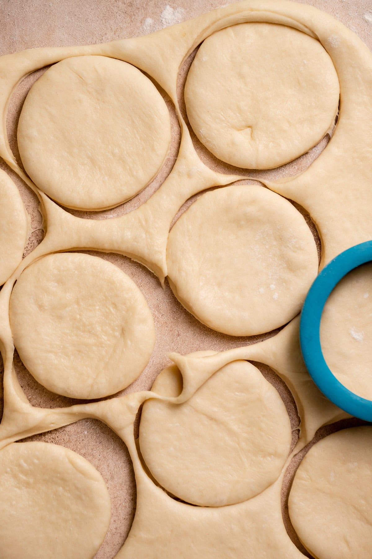 Donuts being cut out from the rolled out dough.