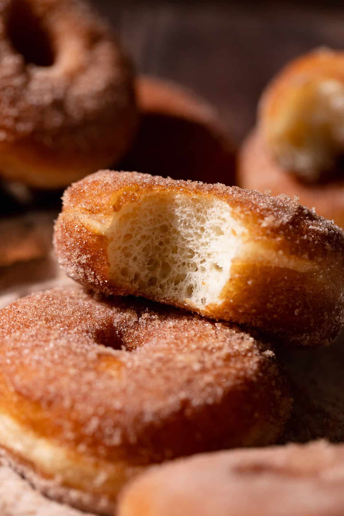 A cinnamon sugar doughnut with a bite missing.