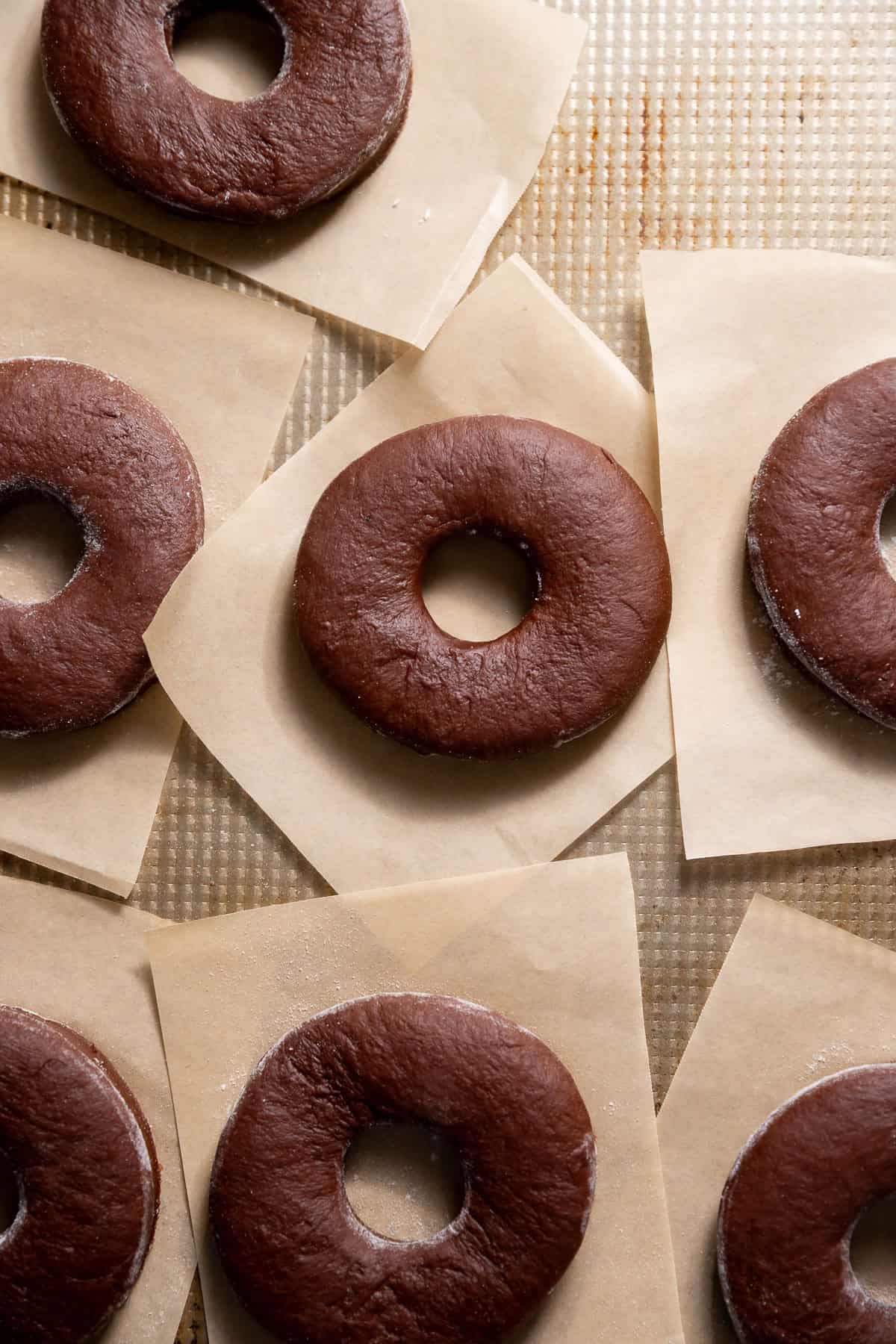 Chocolate doughnuts on individual parchment squares before frying.