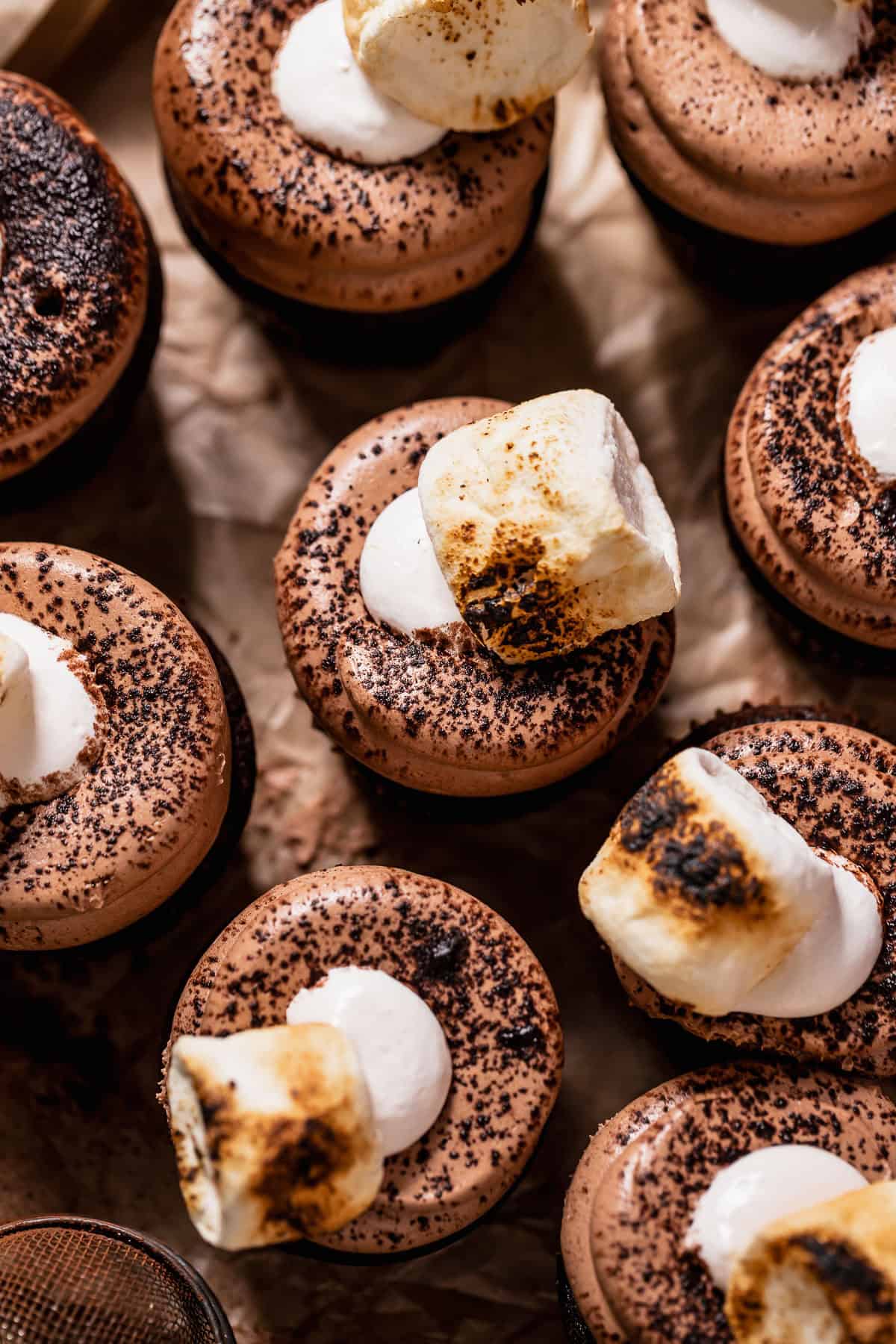 An overhead shot of the hot chocolate cupcakes with toasted marshmallows on top.