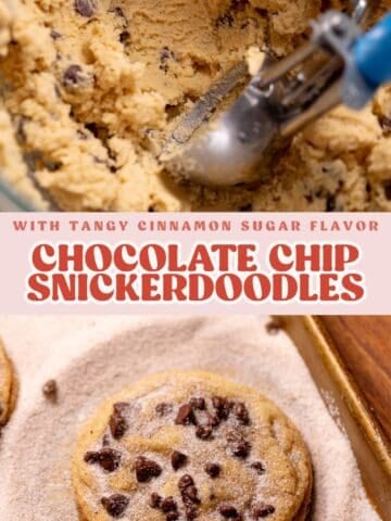 Chocolate chip snickerdoodle pinterest pin graphic with text overlay.