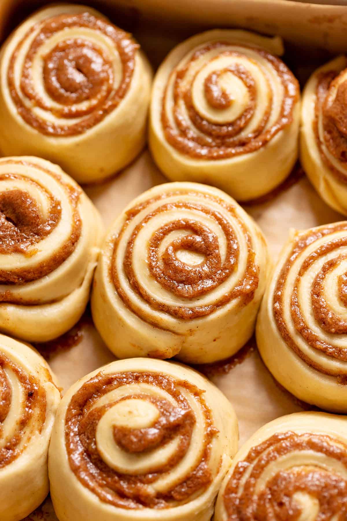 Proofed cinnamon rolls risen and ready to bake.