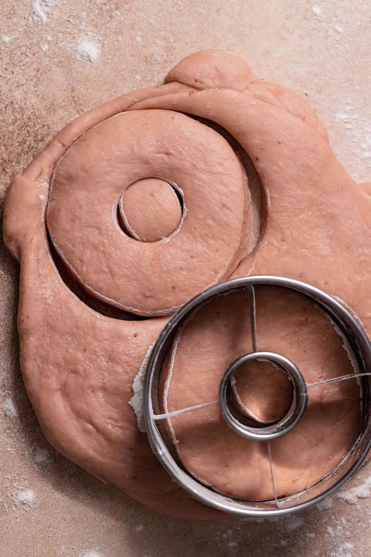 Rolled-out dough with donut shapes cut using a round cutter.