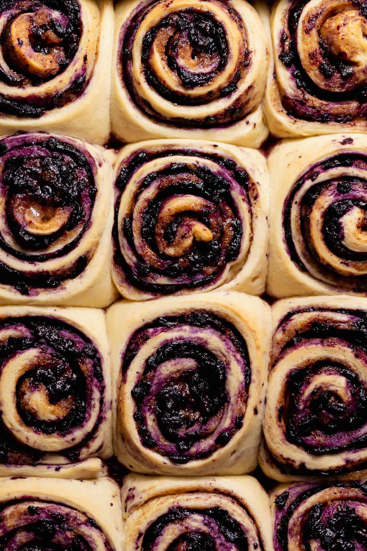 Overhead view of baked blueberry cinnamon rolls with dark wild blueberry filling spiraled through soft dough.