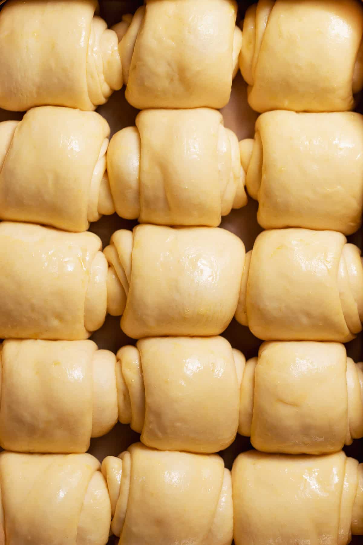 Proofed dinner roll dough in a pan, risen and touching with smooth, egg washed tops.