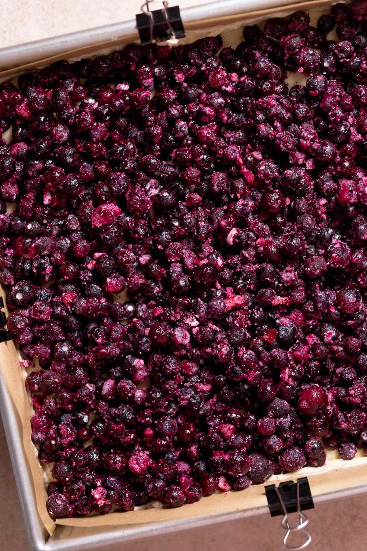 Layer of blueberries spread over cake batter.