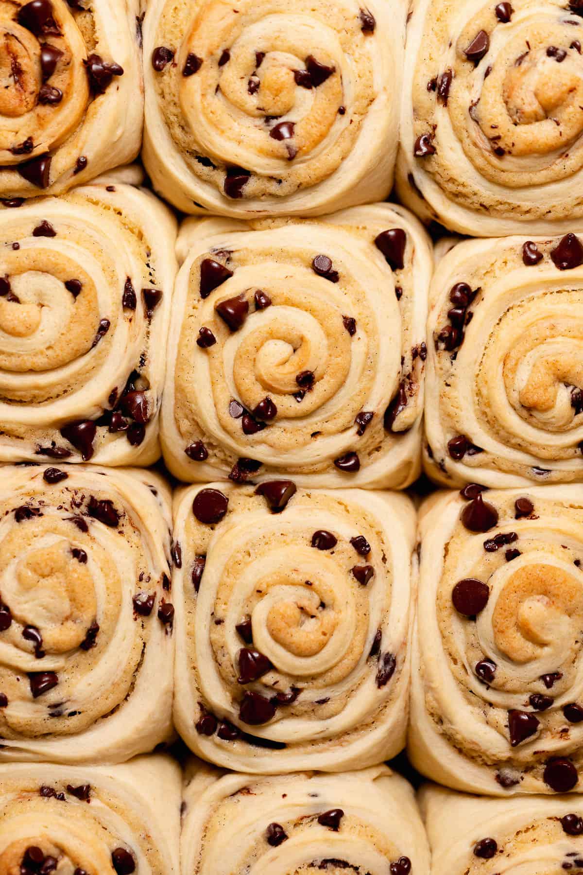 Baked chocolate chip cookie rolls packed tightly in a baking pan.