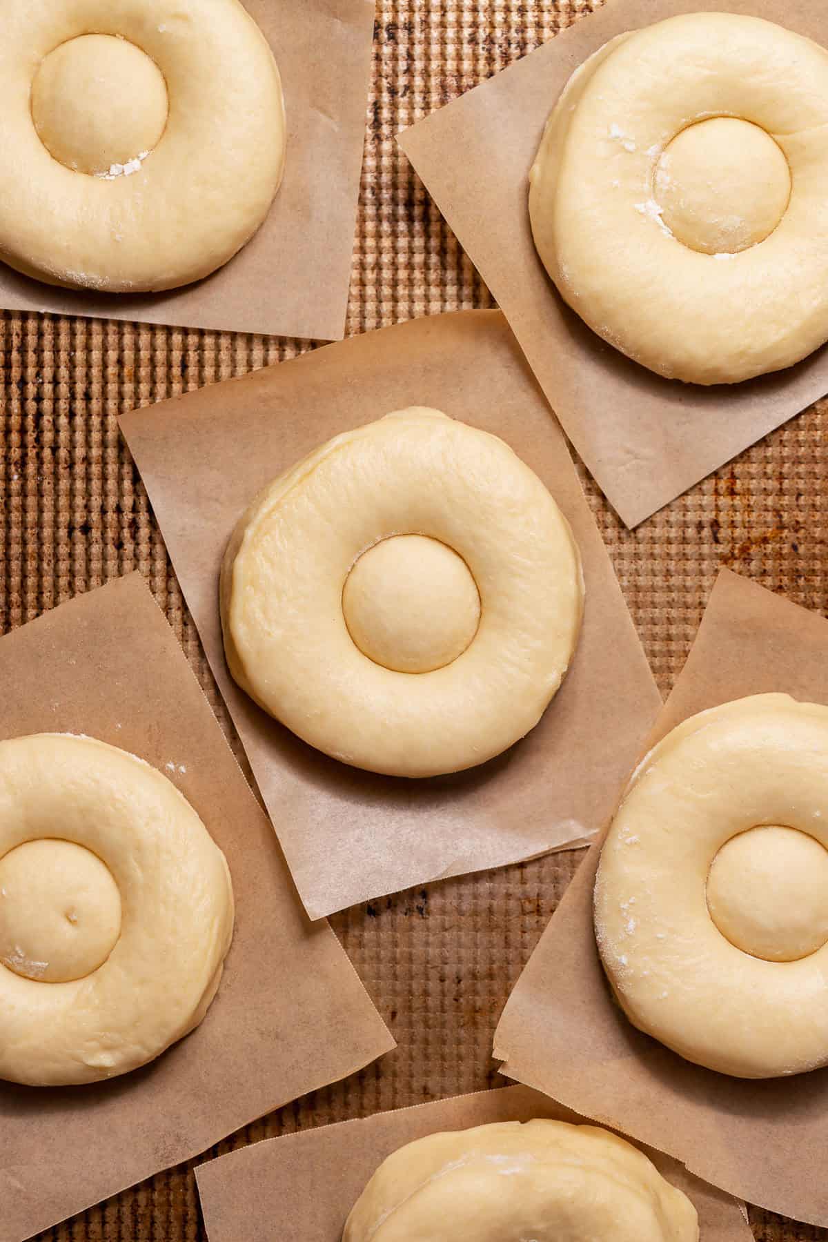 Cut-out milk bread donuts proofing on parchment squares before frying.