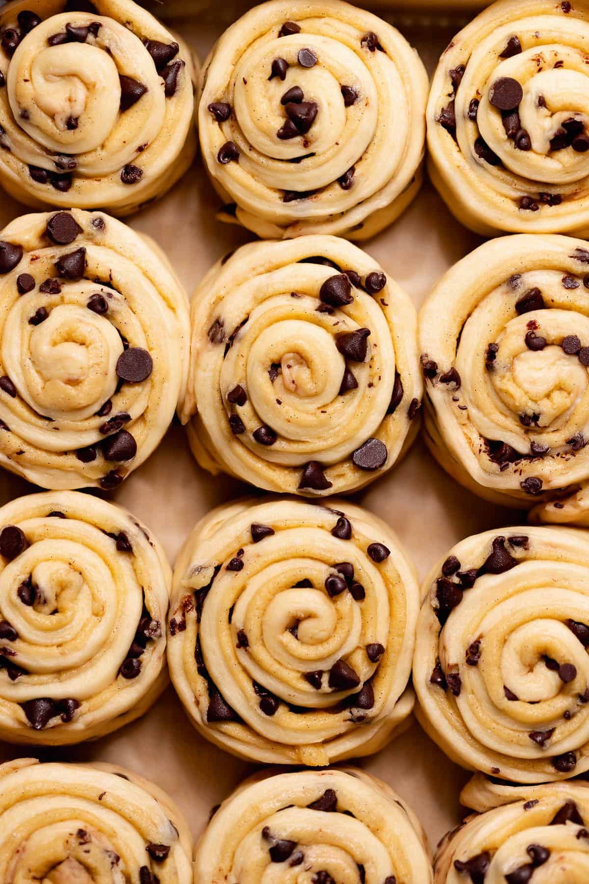 Proofed chocolate chip cookie rolls risen in a baking pan before baking.