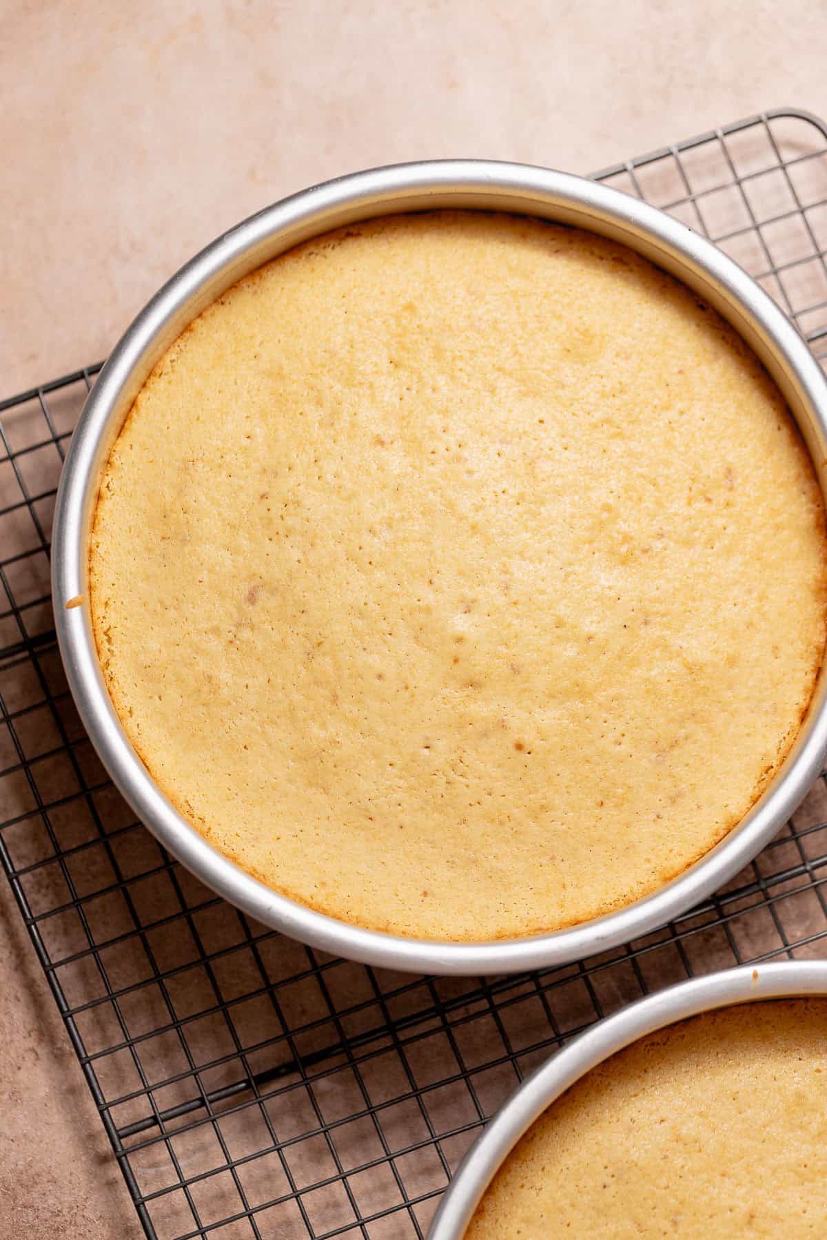 Golden baked cake layer cooling in a round cake pan on a wire rack.