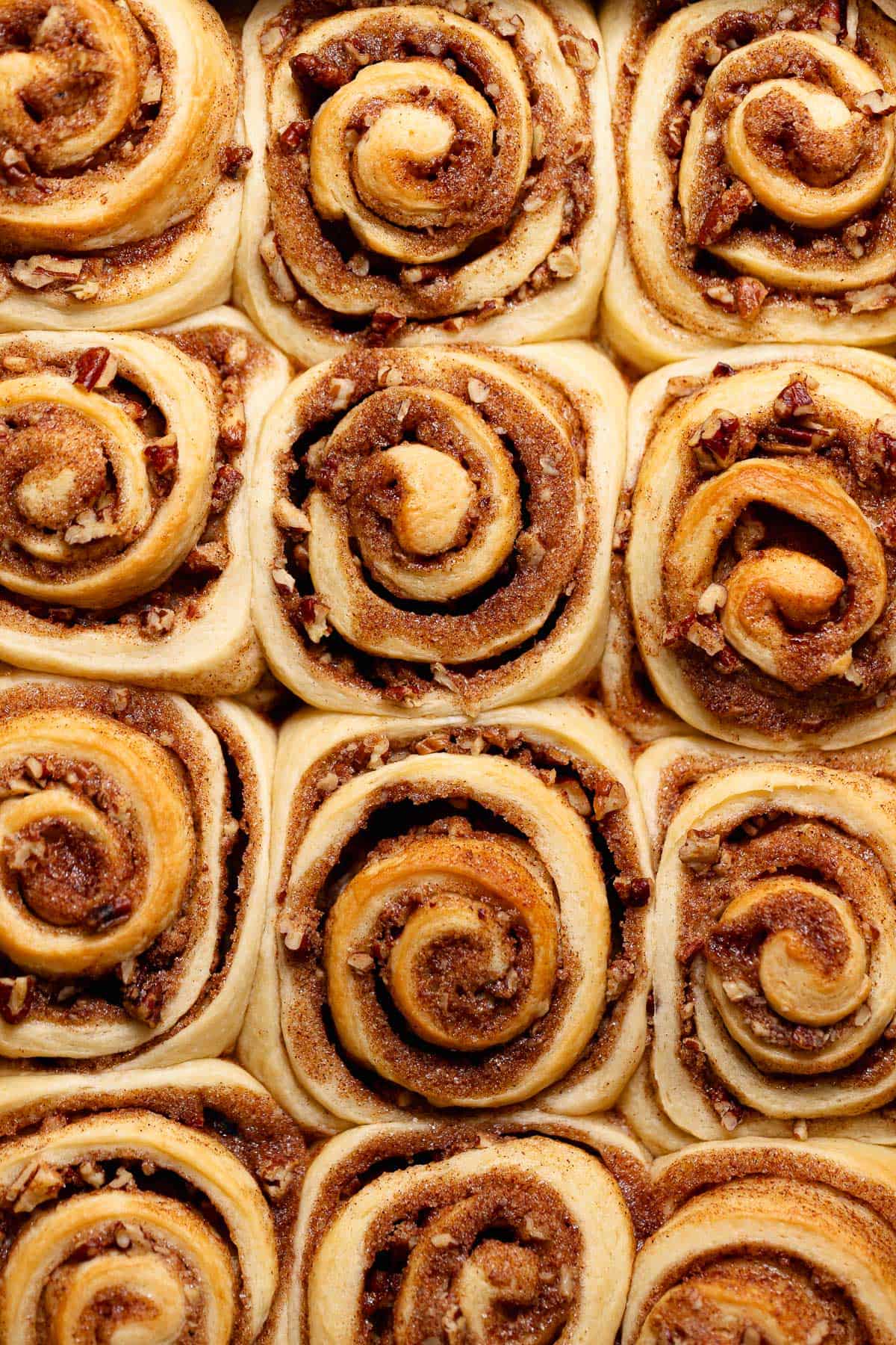 Freshly baked pecan rolls in a baking pan with golden brown tops and visible cinnamon pecan filling.