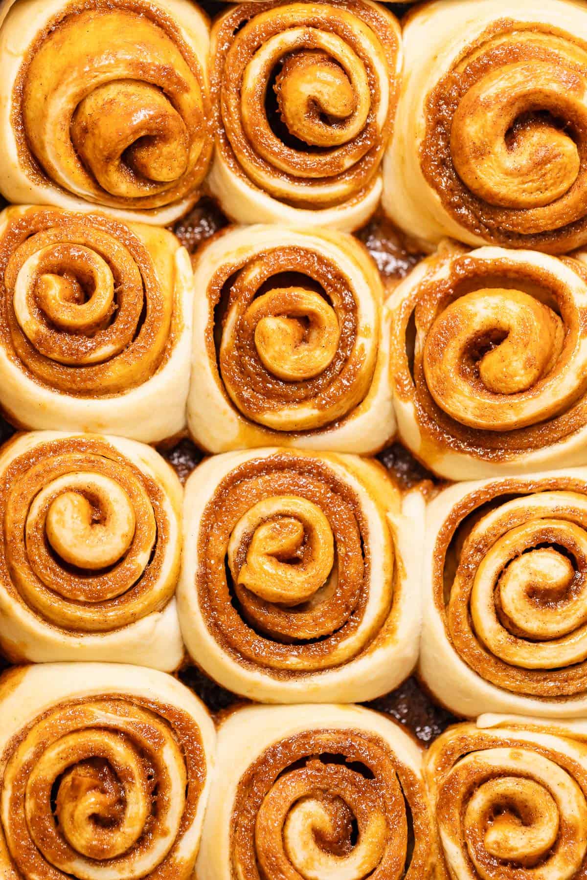 Freshly baked caramel cinnamon rolls before frosting, showing golden swirls and caramel filling.
