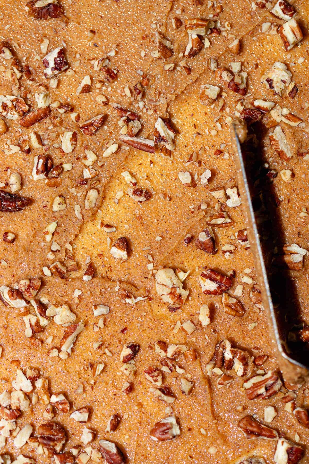 Rolled-out dough covered with cinnamon sugar and finely chopped pecans before shaping.