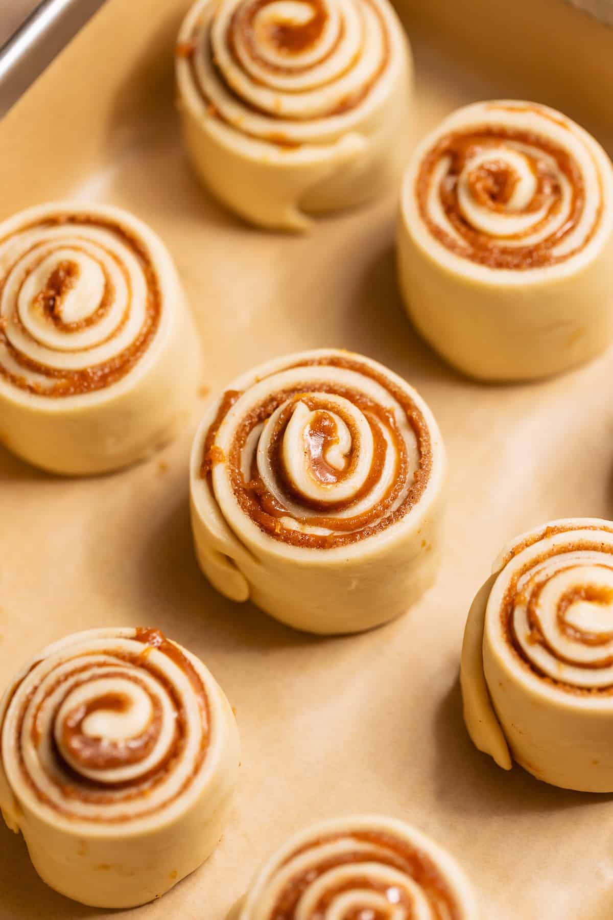 Rolled cinnamon rolls arranged in a parchment-lined baking pan before proofing.