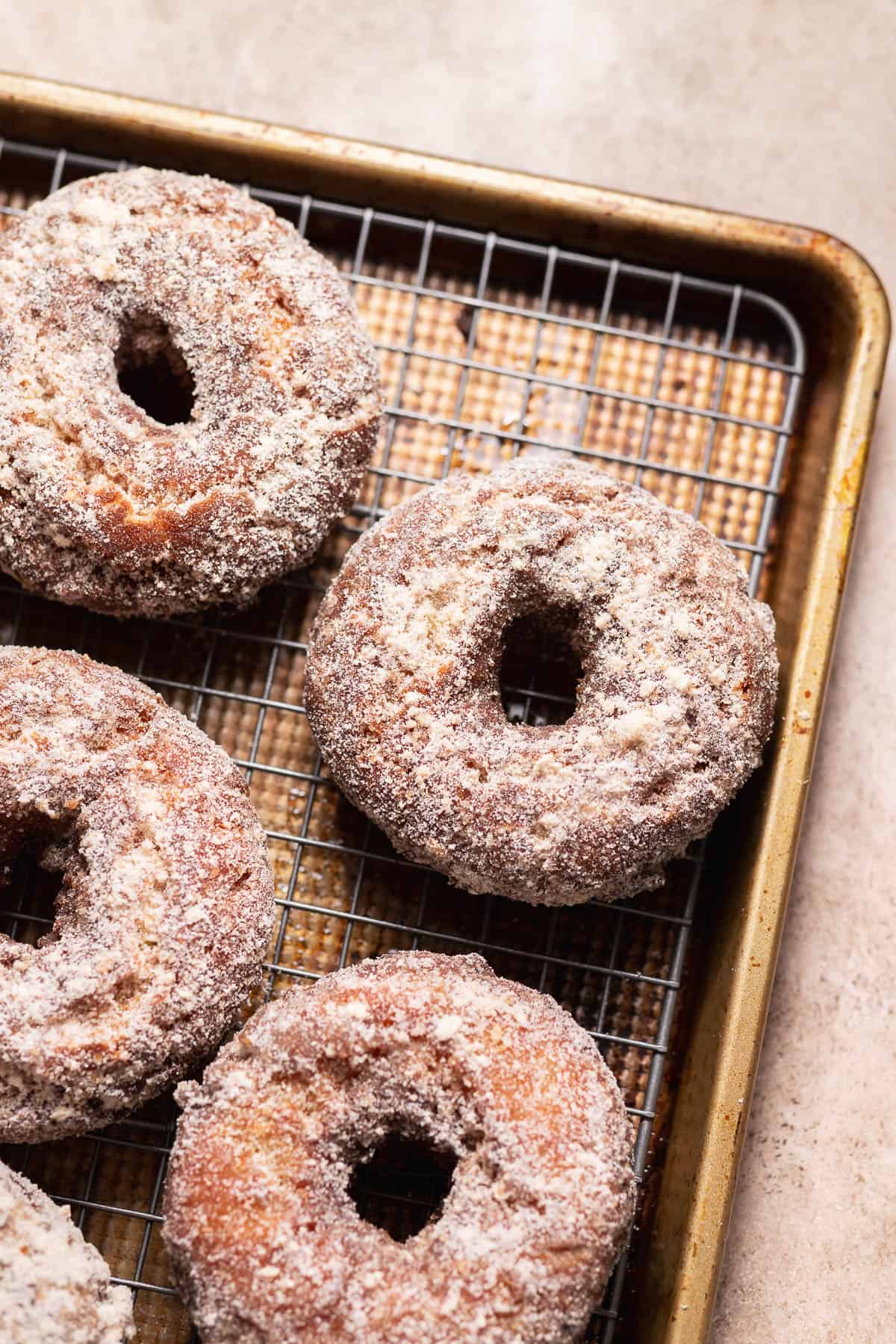 Freshly fried apple donuts coated in cinnamon sugar and apple powder cooling on a wire rack.