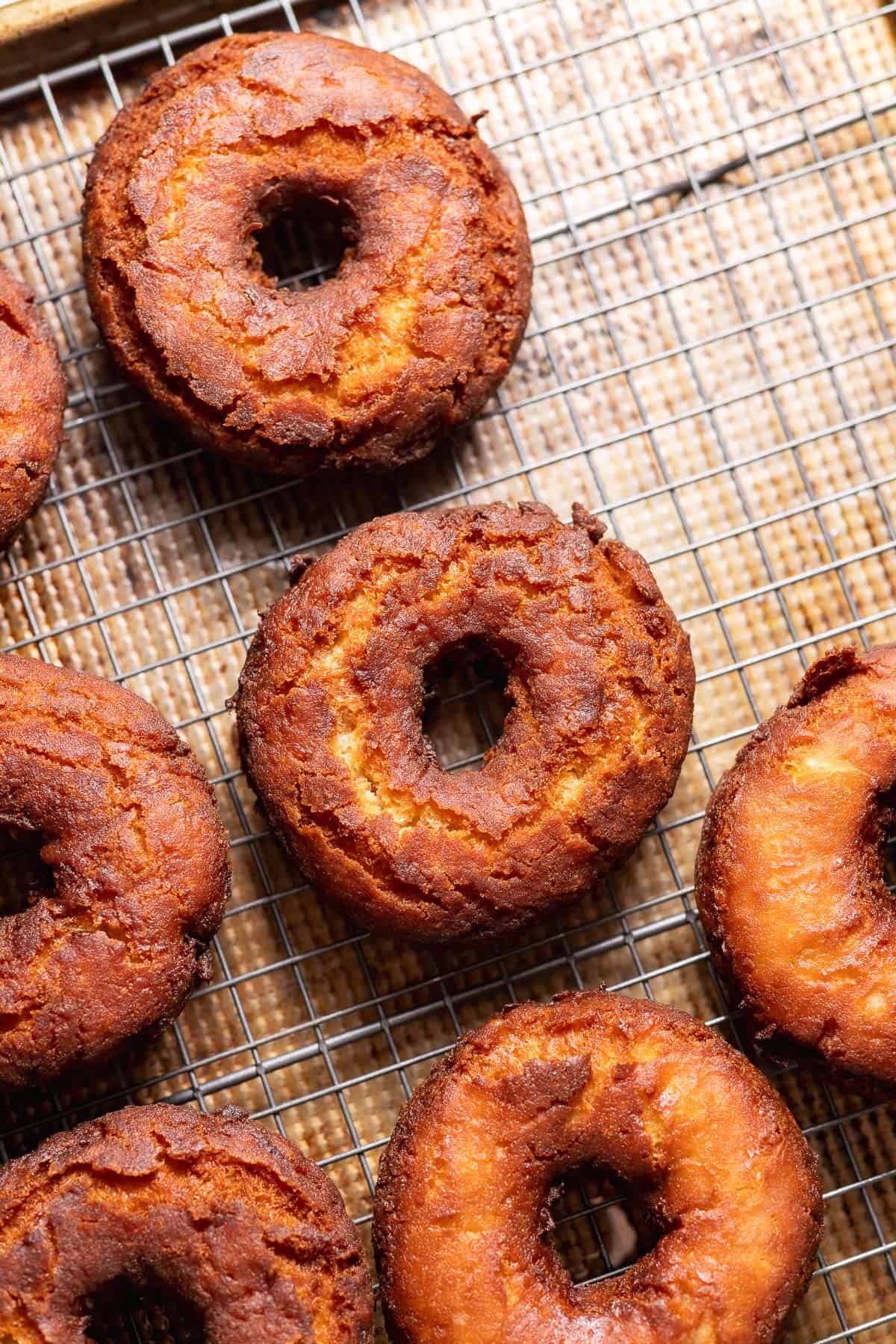 Freshly fried apple cider doughnuts cooling on a wire rack before being coated in cinnamon sugar.