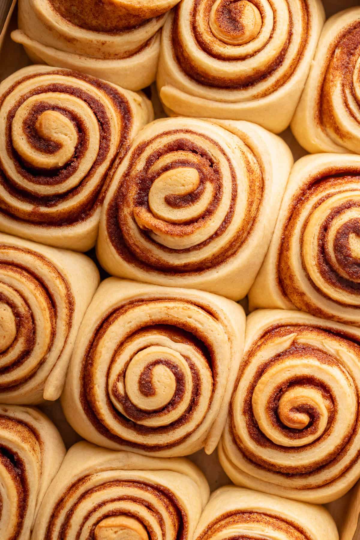 A close-up of several unbaked cinnamon rolls arranged in a baking pan, showing their swirling dough and cinnamon filling.